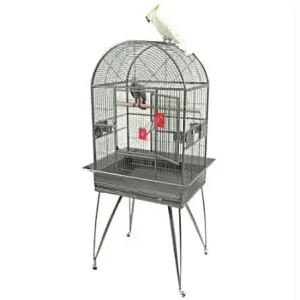 A&E Cage Company Garden Fun Half Coconut Suet Wild Bird Treats - 6 Count Markdown