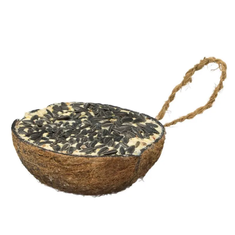 A&E Cage Company Garden Fun Half Coconut Suet with Sunflower Wild Bird Treats - 6 Count Direct From Manufacturer