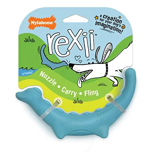 Nylabone Rexii Dinosaur Lightweight and Flexible Fetch and Chew Durable Foam Floating Dog Toy Order Now