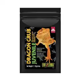 Wholesale Exo Terra Dragon Grub Juvenile