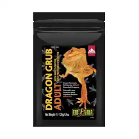 Top Pick Exo Terra Dragon Grub Adult