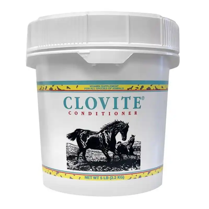 Don’t Miss Out Clovite Conditioner