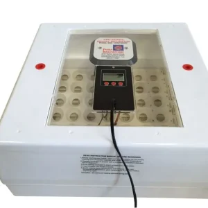 Digital Pro Series Circulated Air Incubator Hot Picks
