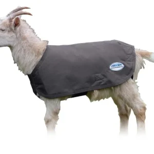 Weatherbeeta Deluxe Goat Coat Order Now
