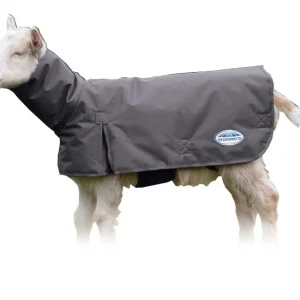 Weatherbeeta Deluxe Goat Coat with Neck Fan Favorite
