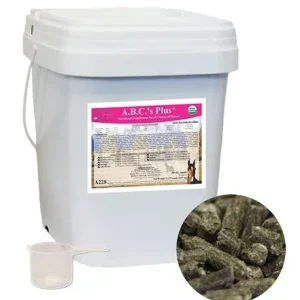 Get Yours A.B.C.s Plus Equine Supplement