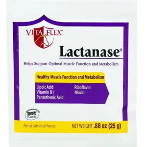 Big Sale Vita Flex Lactanase