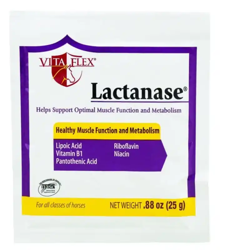 Big Sale Vita Flex Lactanase