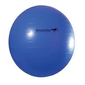 Buy Direct Jolly Mega Ball 25"