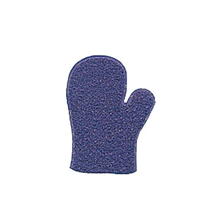 Direct From Factory Non Slip Grooming Mitt