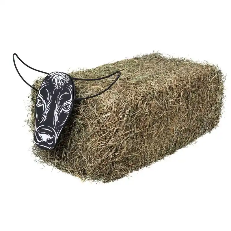 Affordable Tough1 Quick Release Steer Head