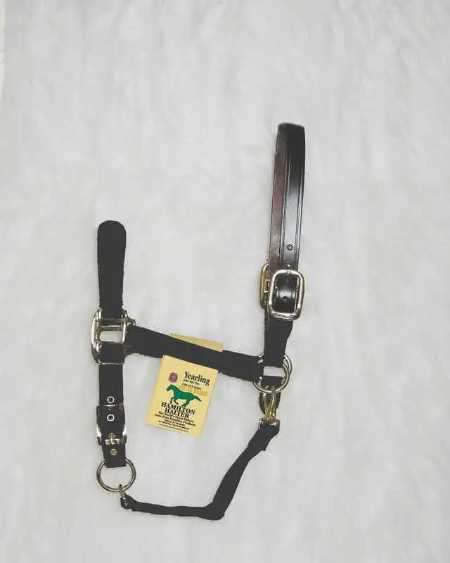 Adjustable Halter with Leather Crown Yearling Blk Markdown