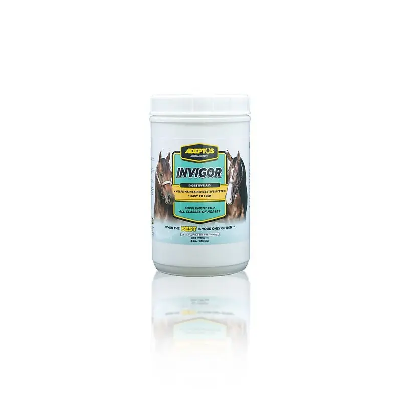 Adeptus Invigor Instant Buy
