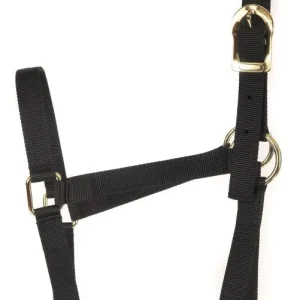 Basic 2-Ply Halter Must Have