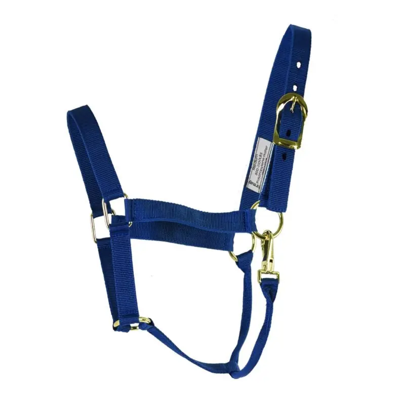 Basic 2-Ply Halter with Snap Next Day Delivery
