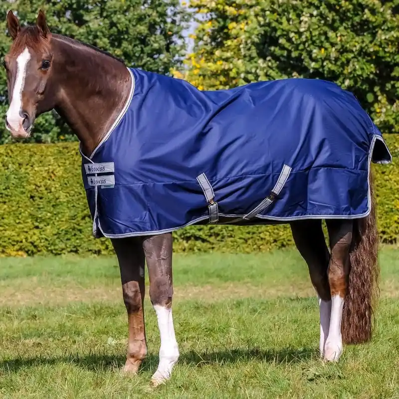Bucas Freedom Turnout Light Seasonal Sale