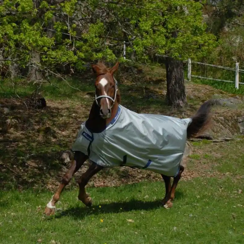 Bucas Light Power Turnout Blanket Deal