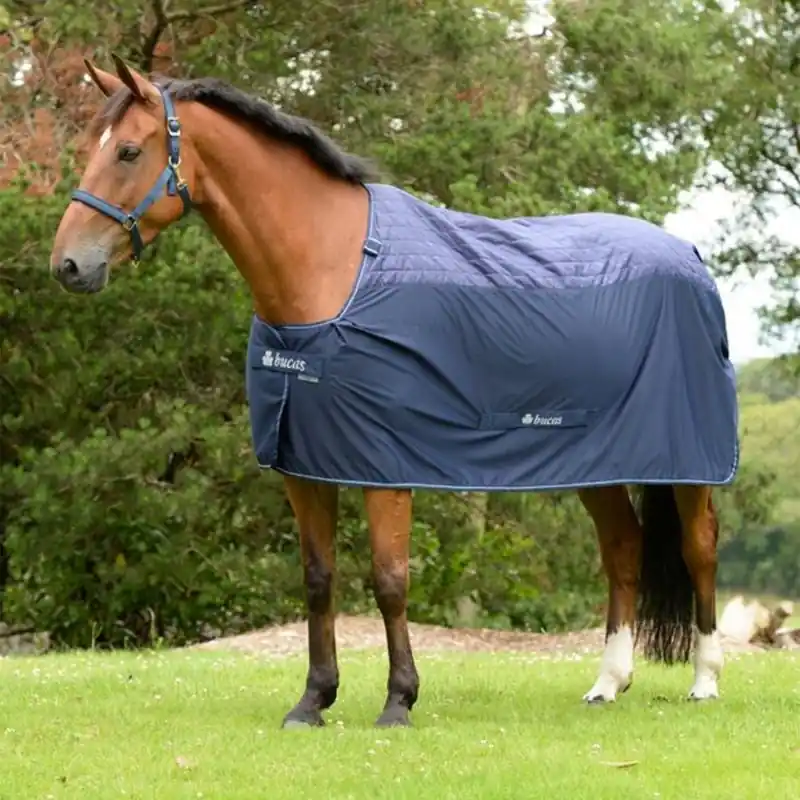 Bucas Recuptex Therapy Blanket Secure Checkout