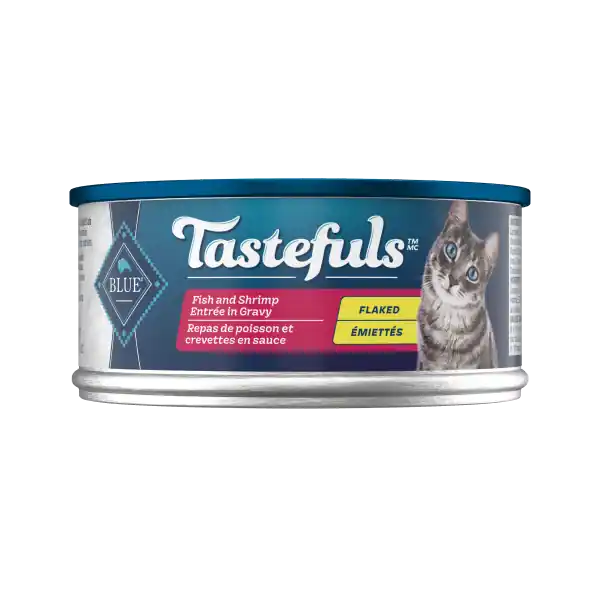 BB Adult Cat Flaked Fish/ Shrimp Entrée in Gravy 5.5oz Seasonal Sale