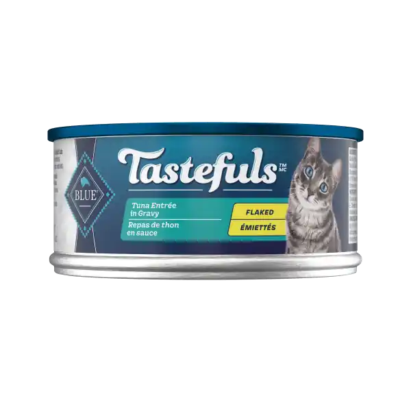 Top Rated BB Adult Cat Tuna Entrée in Gravy Flaked 5.5oz