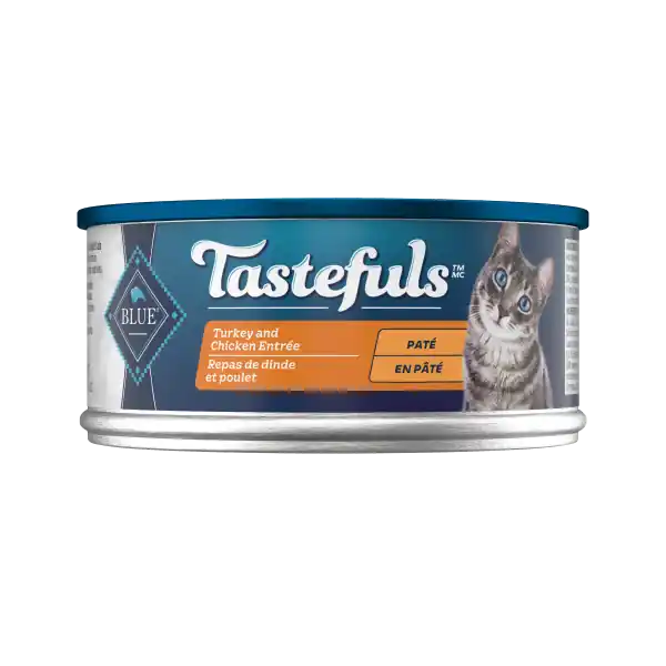 Buy Direct BB Adult Cat Turkey & Chicken Entrée Pate 5.5oz