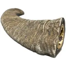 Top Pick Goat Horn - Large