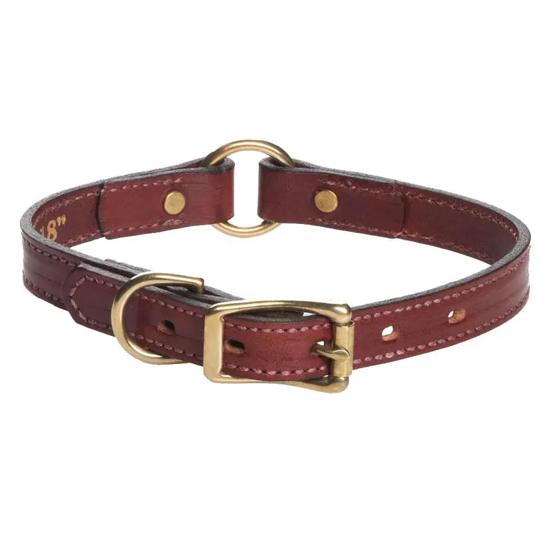 Express Delivery Leather Hunt Collar