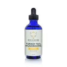 One Day Deal Adored Beast Turkey Tail Mushrooms59ml