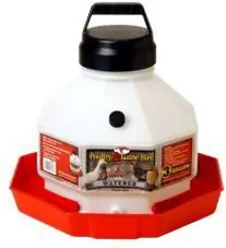 Place Order 3 Gallon Plastic Poultry Waterer