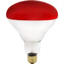 125W Red Soft Glass Light Bulb Hassle-Free Returns