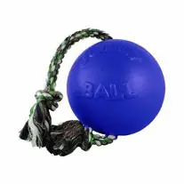 Deal Jolly Pets Blue Romp-N-Roll Dog Toy - 8"