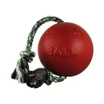 Jolly Peys Small Red Romp-N-Roll Dog Toy, 4.5-In Best Seller