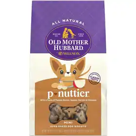 Today Only Old Mother Hubbard Dog Biscuits P-Nuttier 20 oz