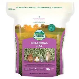 Today Only Oxbow Botanical Hay 15oz