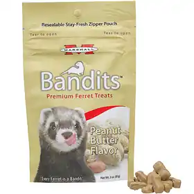 Direct From Factory Bandits Premium Ferret Treats Peanut Butter Flavor 3 oz.