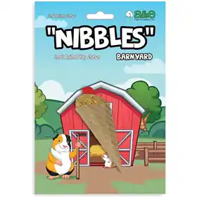 Bulk Order A&E Cage Company Nibbles Ice Cream with Cherry