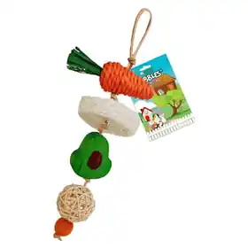A&E Cage Company Nibbles Garden Nob Chew Next Day Delivery