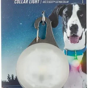 Luxury SpotLit XL Rechargeable Collar Light Disco