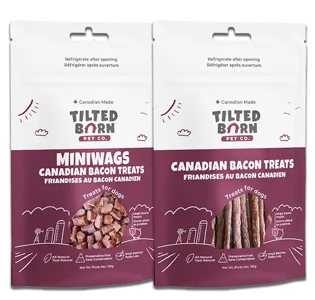 Order Now Tilted Barn Treats Miniwags Bacon 100g