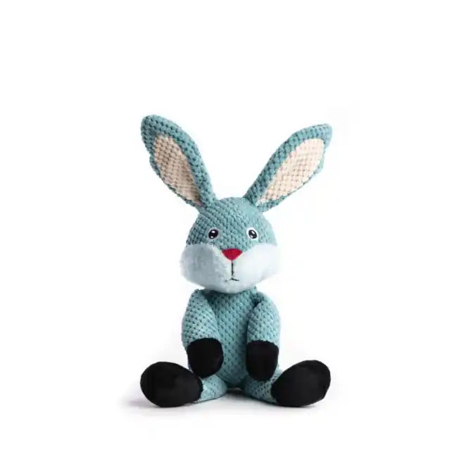 Same Day Shipping Fabdog Floppy Dog Toy Bunny Small