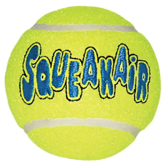 Affordable Kong Squeakair Ball Dog Toy