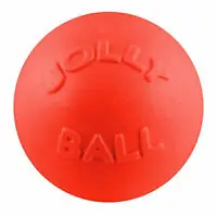 Don’t Miss Out Jolly Pets Bounce-N-Play Ball Dog Toy