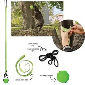 Deal Jolly Pets Tree Tugger