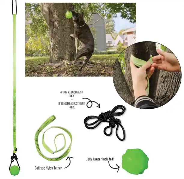 Deal Jolly Pets Tree Tugger
